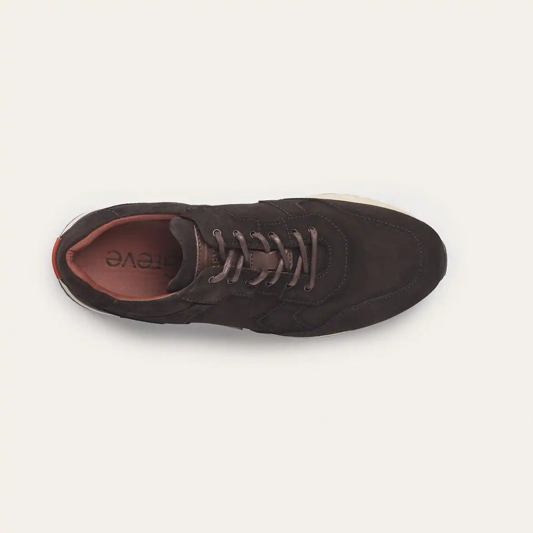 Haarlem Dark Brown Shade 2