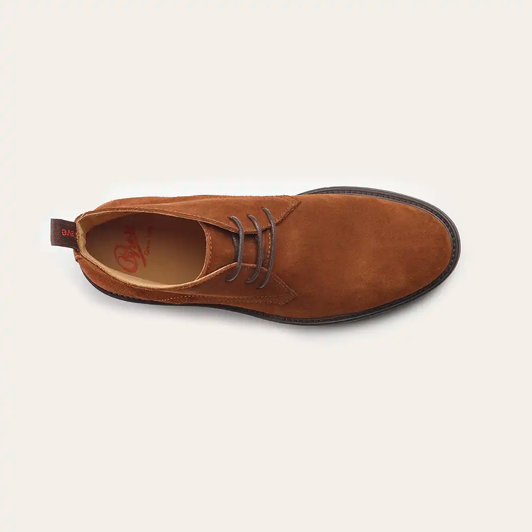 Barbour Brulee Velvet 2