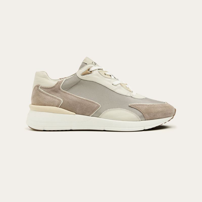 Greve Sneaker Walker Roccia Suede 